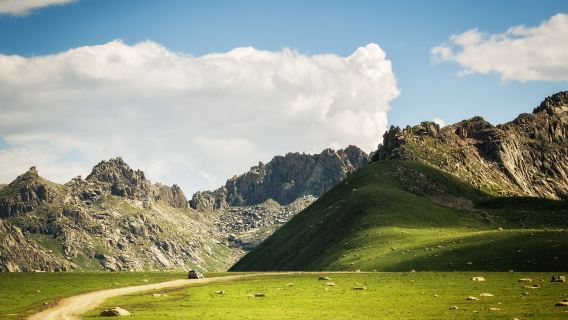 Bayan Har Mountain