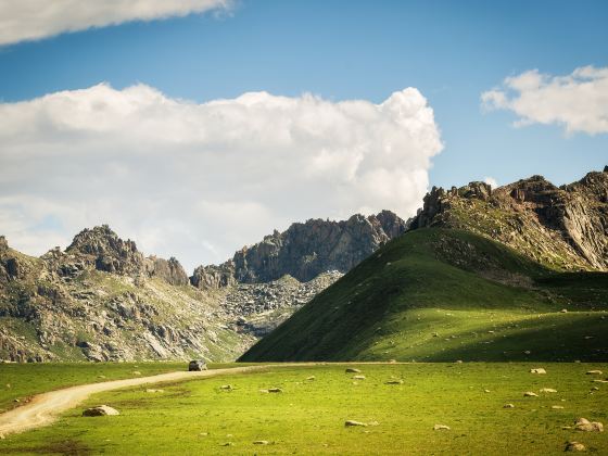 Bayan Har Mountain