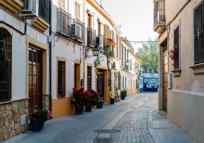 Jewish Quarter (Juderia)