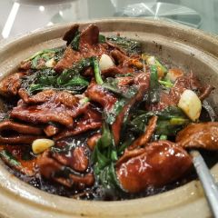 Xin Yuan SiFang Cai User Photo