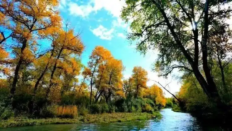 1_Shidiguyang Sceneic Area