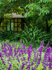 ジーロング・ボタニック植物園