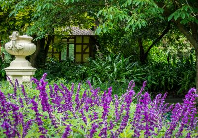 Geelong Botanical Gardens