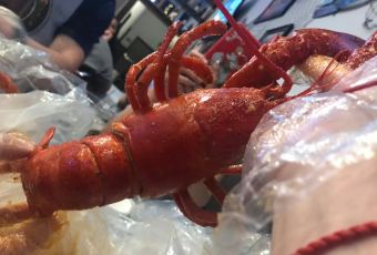 Hot N Juicy Crawfish User Photo