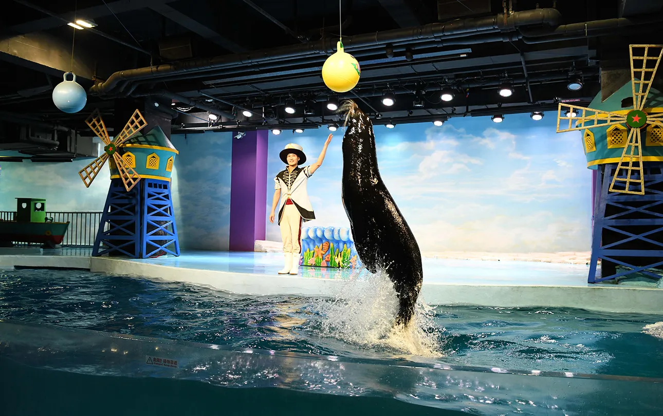 3_哈爾濱極地公園·海洋館