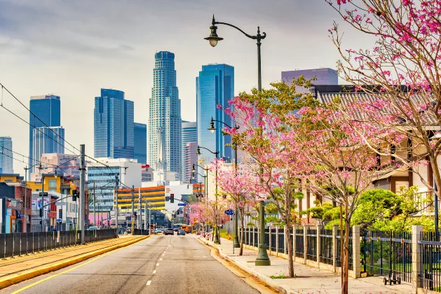 Отели в районе Пляж Винис-Бич