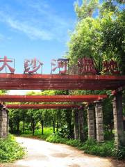 Dashahe Wetland Park