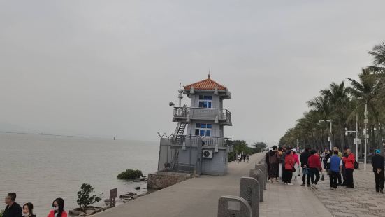 海濱生態公園-深圳啟航紀念林