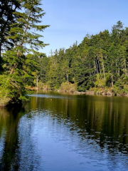 Umpqua Lighthouse State Park