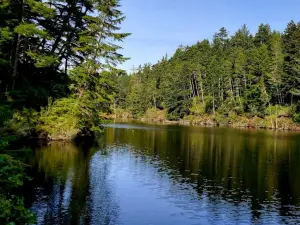 Umpqua Lighthouse State Park