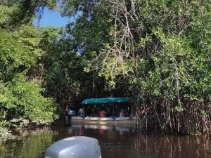 Biosphere Reserve Pantanos de Centla