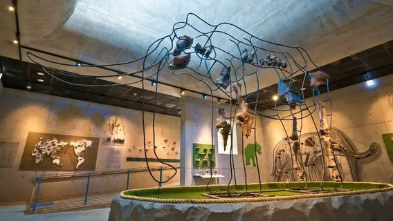 Tainan Zuojhen Fossil Park