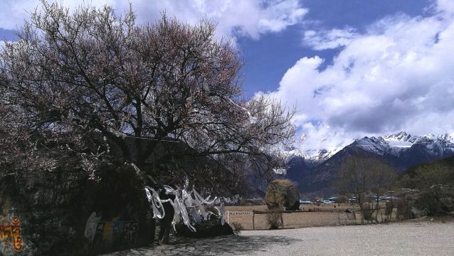Namjagbarwa Peak Viewing Platform
