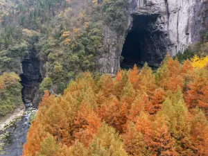 Popular Fall Viewing Attractions in Lichuan