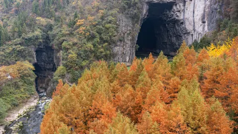 Tenglong Cave Scenic Area attraction in Личуань