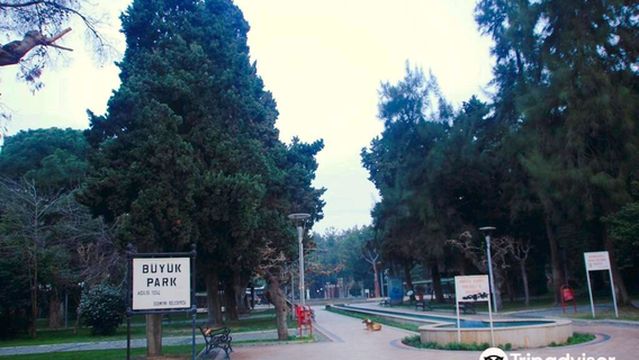 Büyükpark