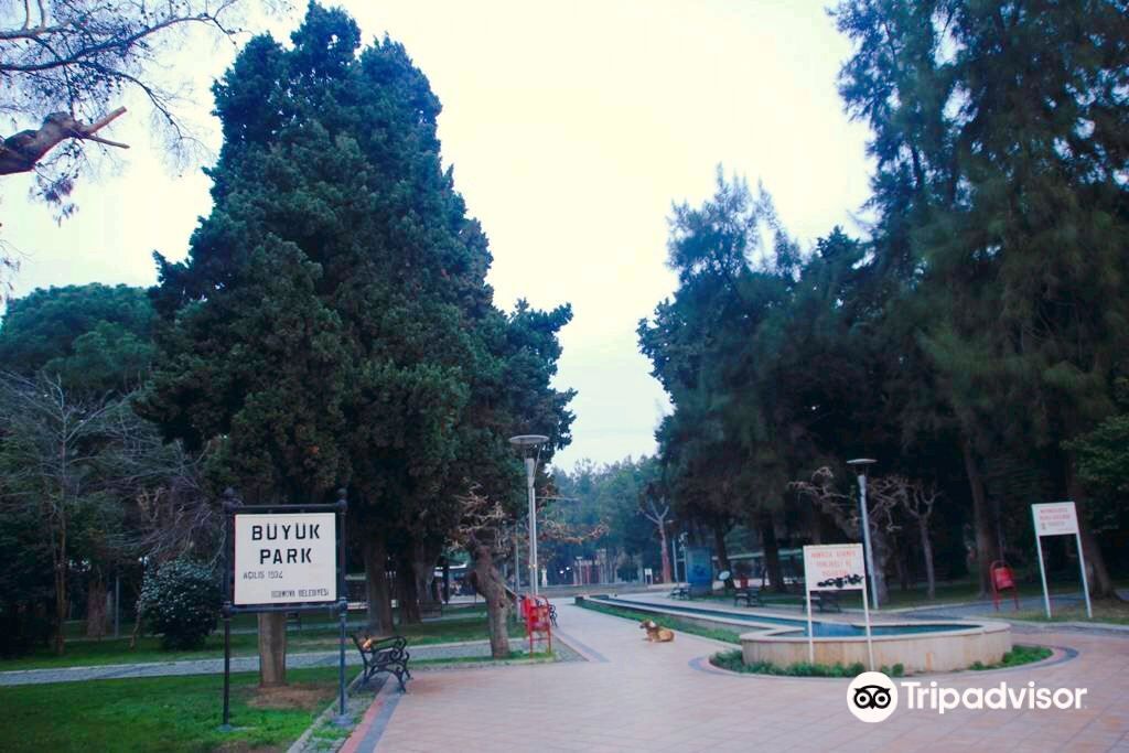 Büyükpark