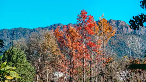 Pingshan Village attraction in Yi County