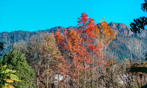 Pingshan Village