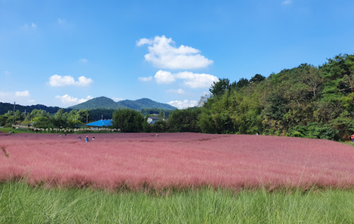 농업회사법인(주)고창청농원 티켓 할인, 운영 시간, 후기 [2025년] | Trip.com