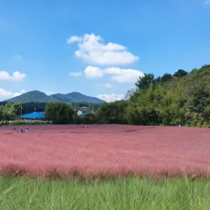 농업회사법인(주)고창청농원
