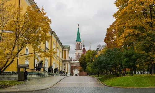 Moscow Ginkgo