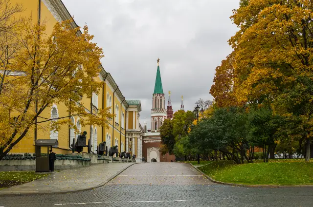 Ginkgo Viewing in Moscow