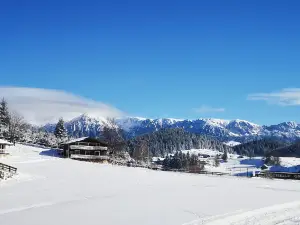 Ski slope - Cheile Gradistei