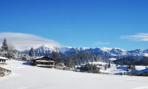 Ski slope - Cheile Gradistei