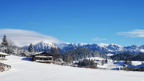 Ski slope - Cheile Gradistei