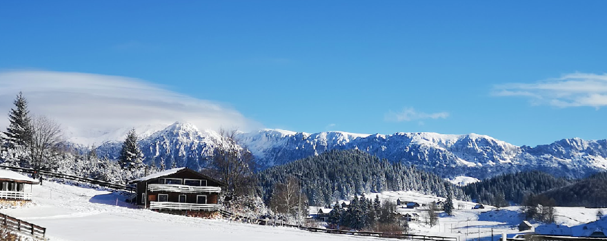 Ski slope - Cheile Gradistei