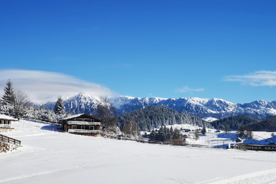 Ski slope - Cheile Gradistei