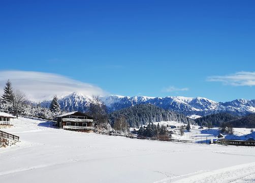 Ski slope - Cheile Gradistei