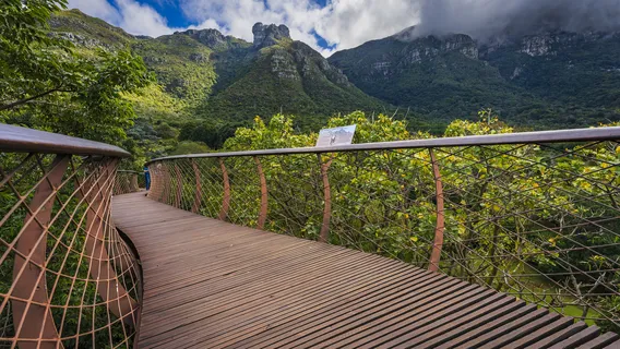 Kirstenbosch National Botanical Garden