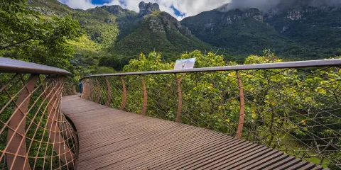 康斯坦博西植物園