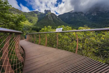 Kirstenbosch National Botanical Garden
