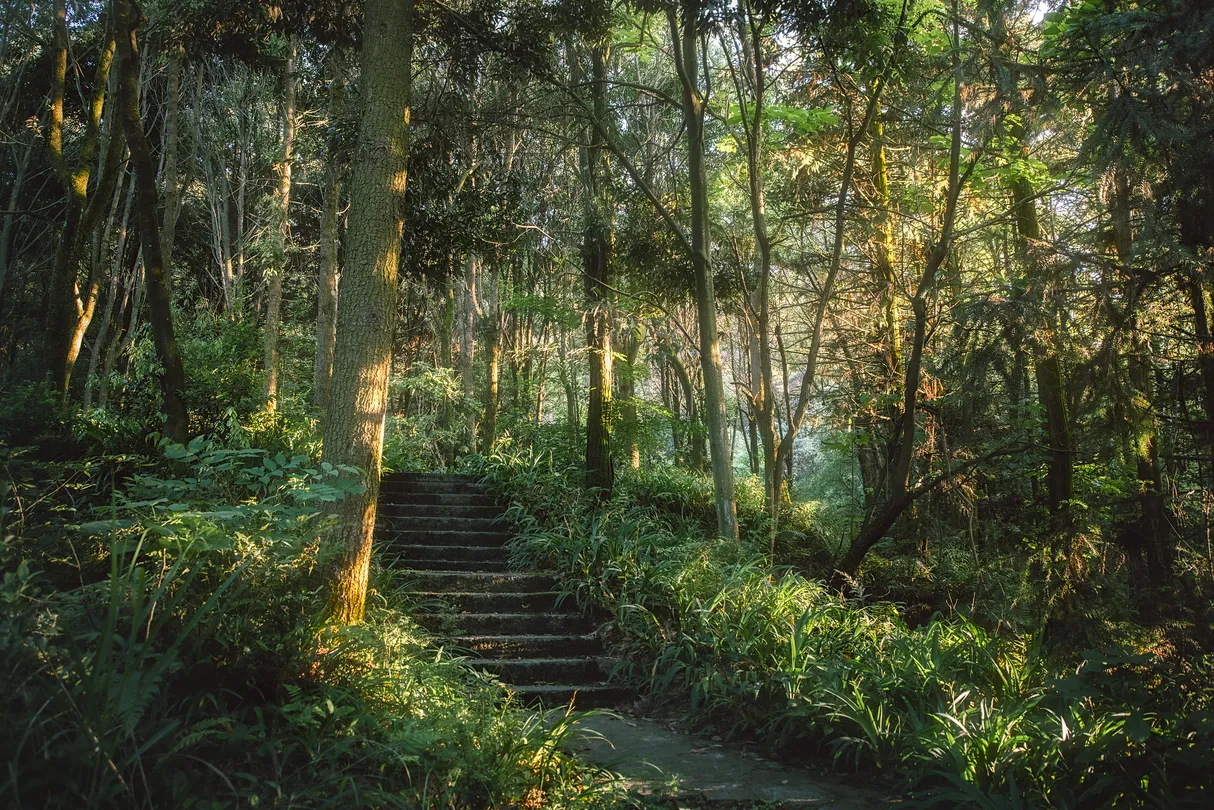 4_Guiyang Forest Park