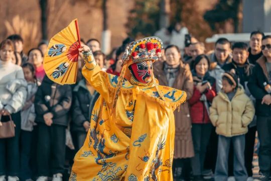 2026合肥祥源花世界新春大廟會 | 肥西