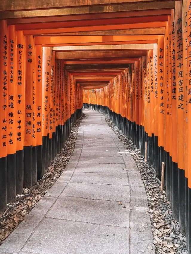 Kyoto’s Endless Row Of Vermillion Gates