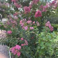 青衣好去處