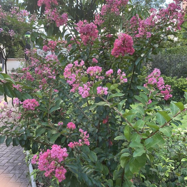青衣好去處