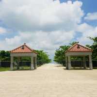 沖縄戦終焉の地"平和祈念公園"﻿