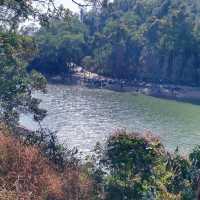 耗體力之行：大埔頭去流水響