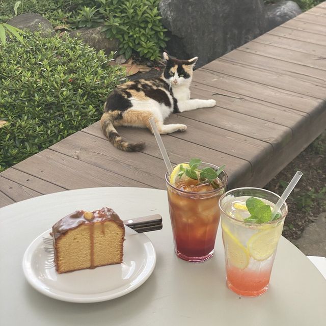위양못근처카페 마리옹