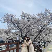 단양으로 떠난 꽃놀이