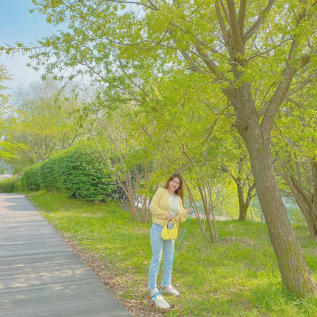 강아지와 산책하기좋은 광교호수공원