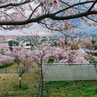 Sayamaeki museum