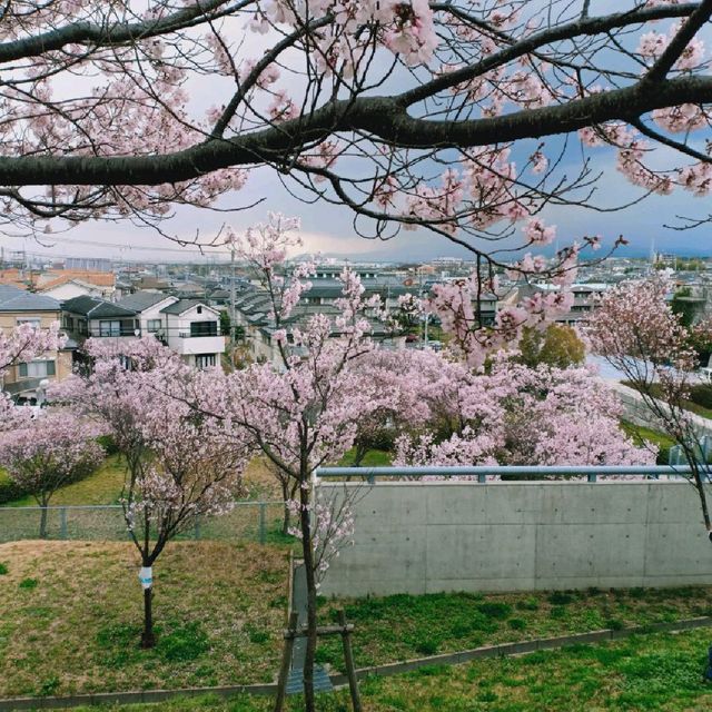 Sayamaeki museum