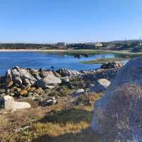 The Magic of Western Cape and SA unspoil