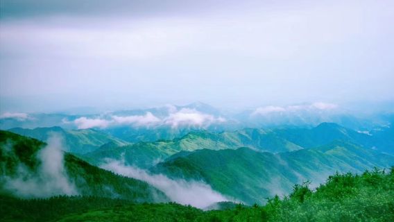 Long Mountain National Forest Park